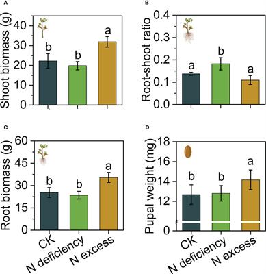The nitrogen-dependent GABA pathway of tomato provides resistance to a globally invasive fruit fly
